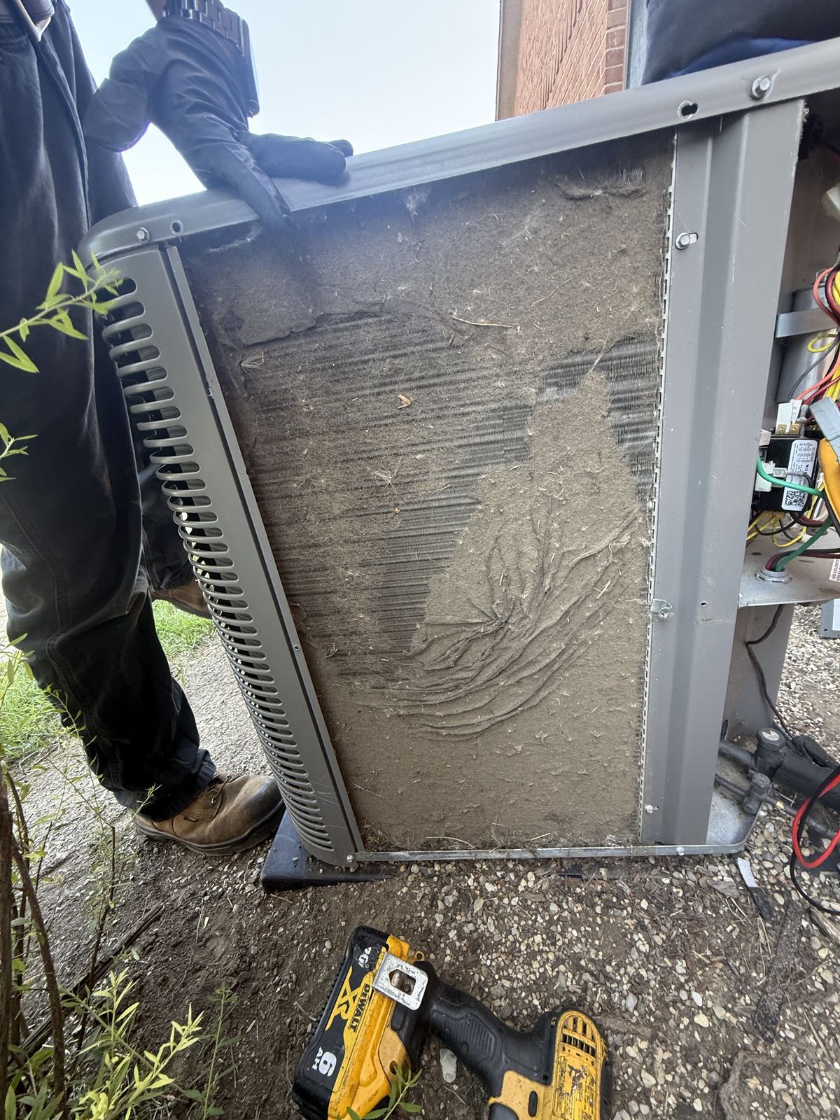 Maintenance / Tune-Up — additional photo