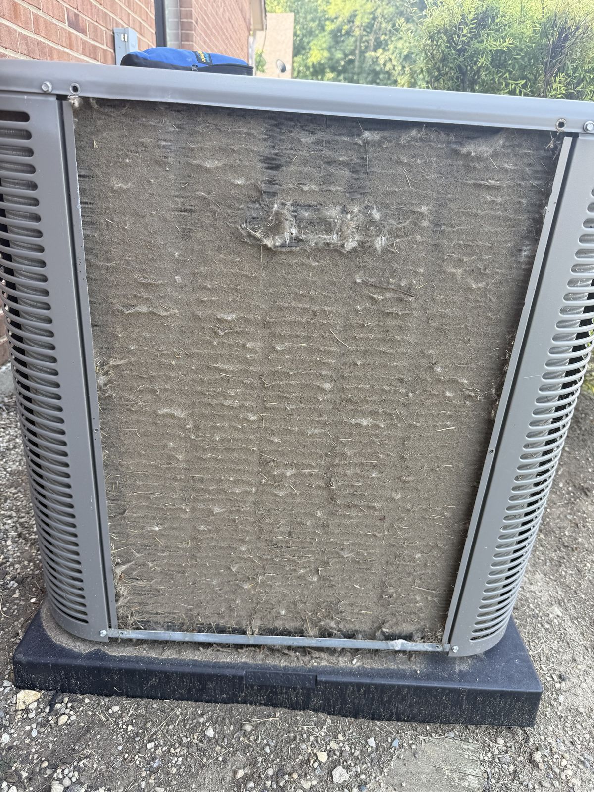 Maintenance / Tune-Up — additional photo